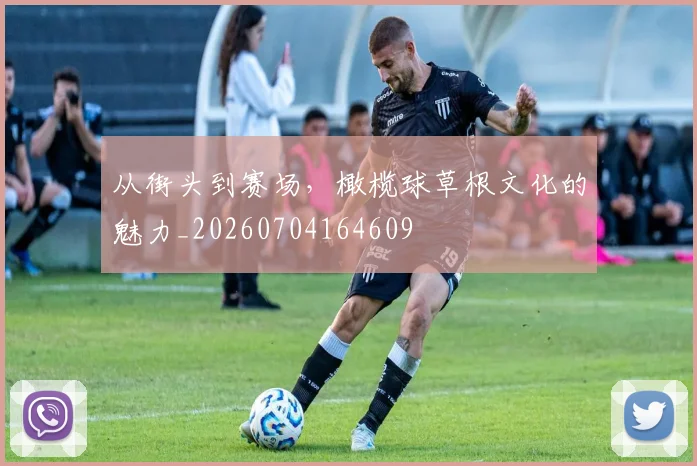从街头到赛场,橄榄球草根文化的魅力_20260704164609